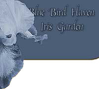blue bird haven logo