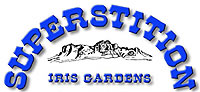 superstition logo